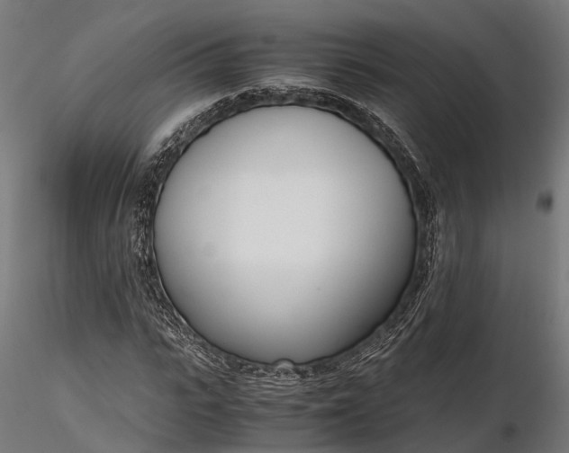 X0000116330919200912151302
