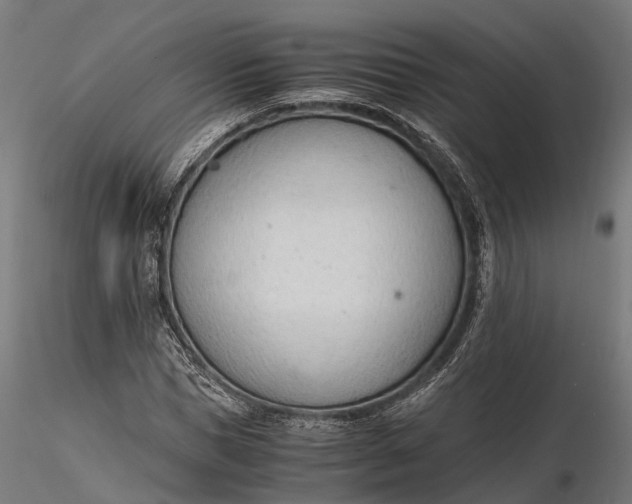 X0000116330921200912151302