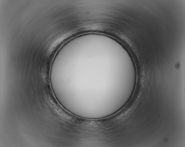 X0000116330922200912151302