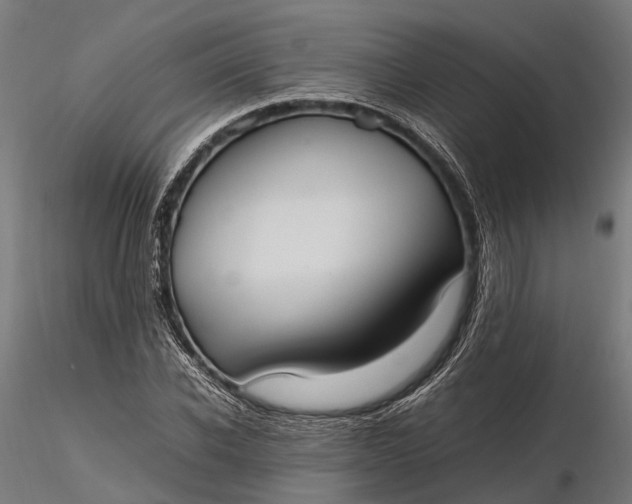 X0000116330926200912151302