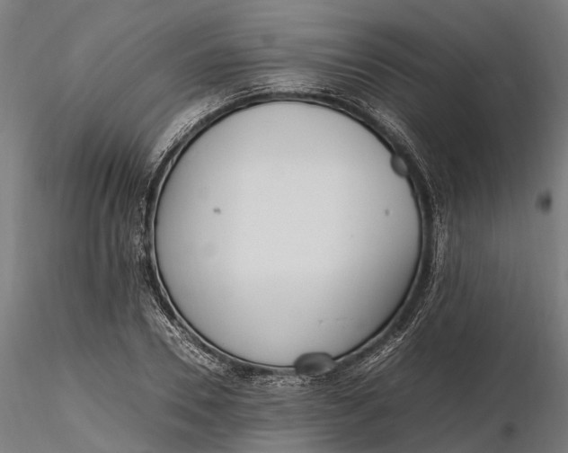 X0000116330930200912151302