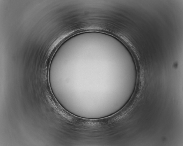 X0000116330933200912151302