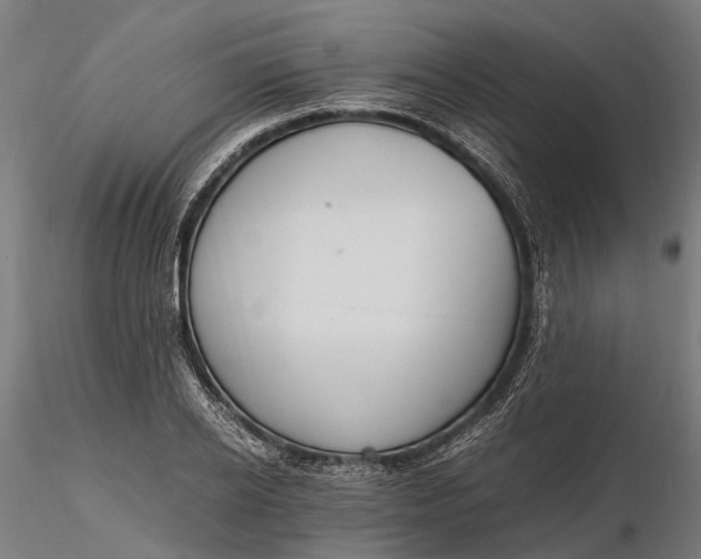 X0000116330934200912151302