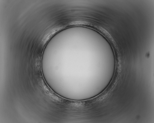 X0000116330937200912151302