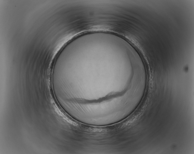 X0000116330941200912151302