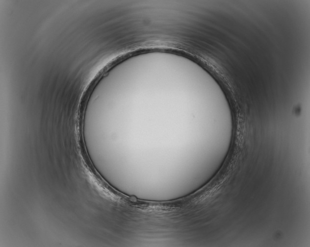 X0000116330942200912151302
