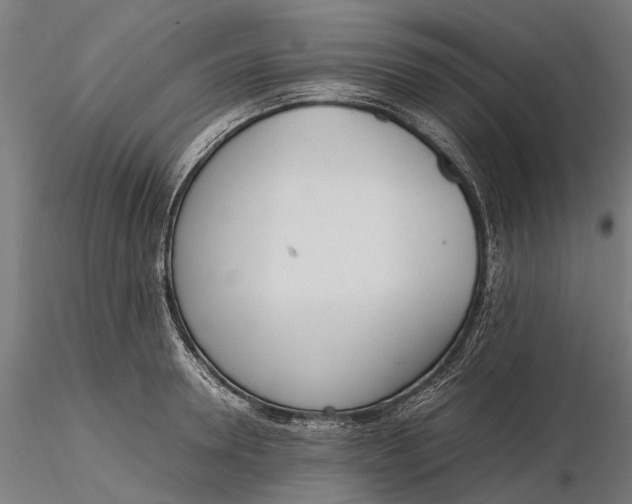 X0000116330946200912151302