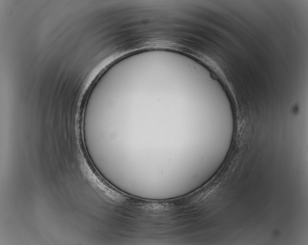 X0000116330947200912151302