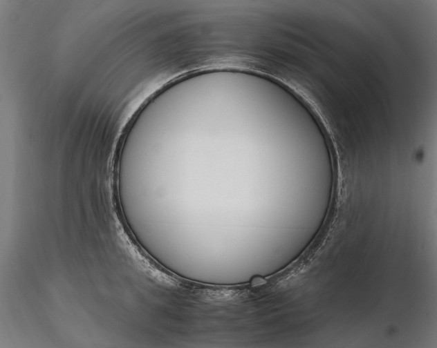 X0000116330949200912151302