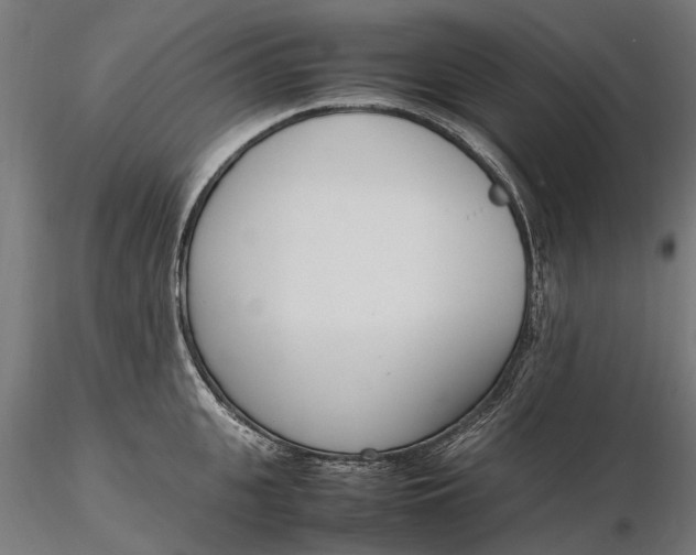 X0000116330951200912151302
