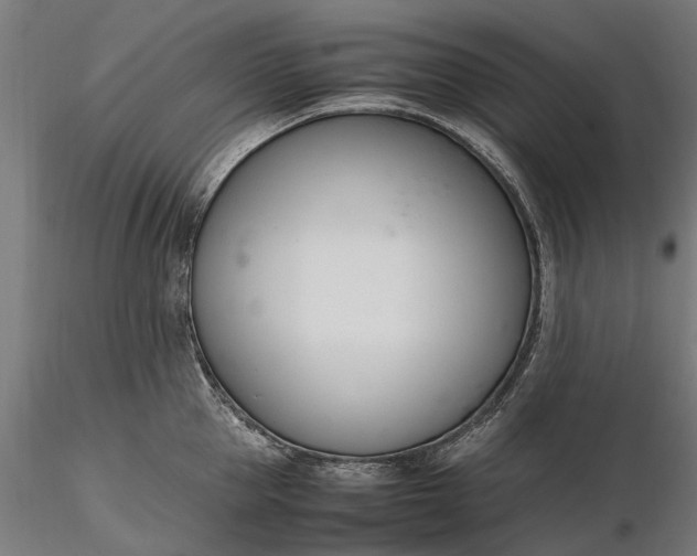 X0000116330953200912151302