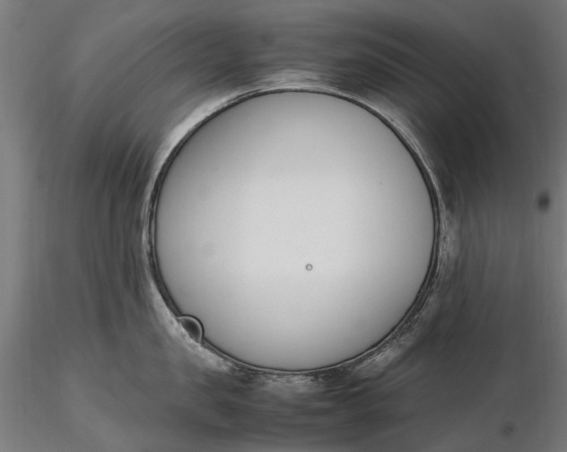 X0000116330957200912151302