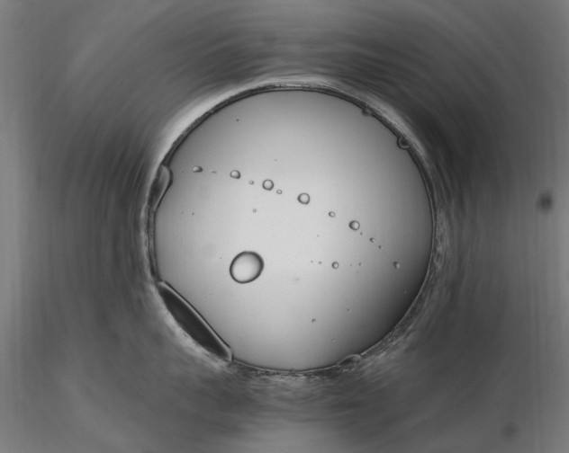 X0000116330959200912151302