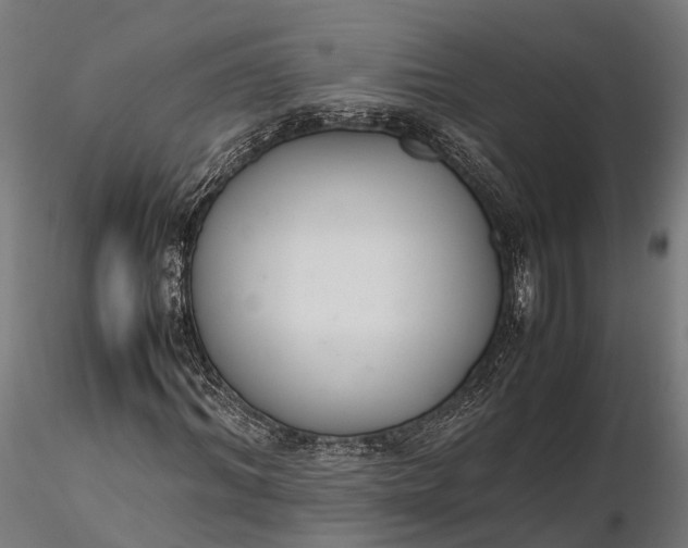 X0000116330964200912151302