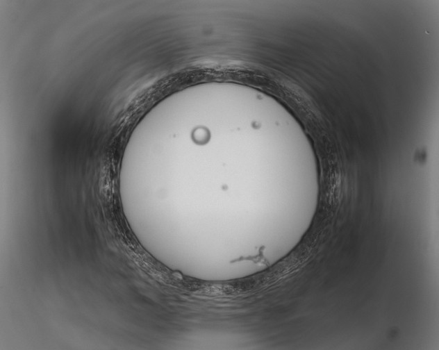 X0000116330966200912151302