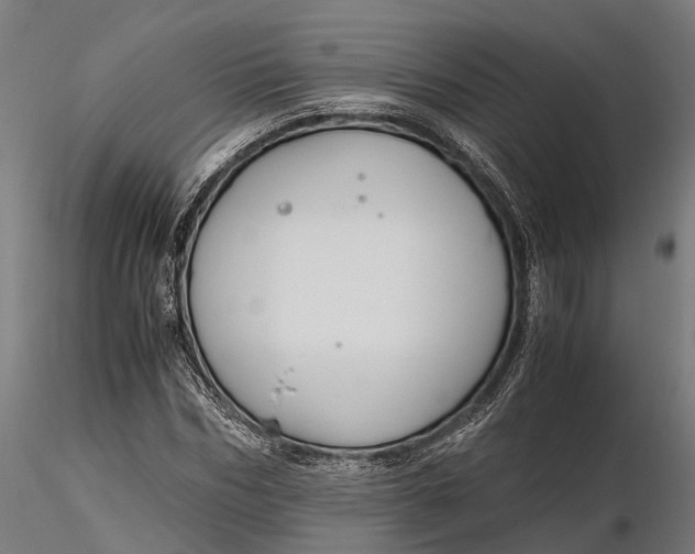 X0000116330970200912151302