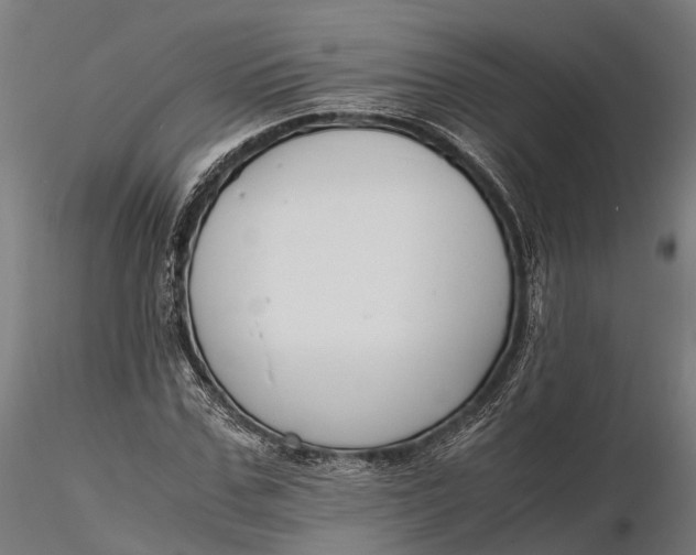 X0000116330971200912151302