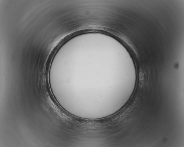 X0000116330972200912151302