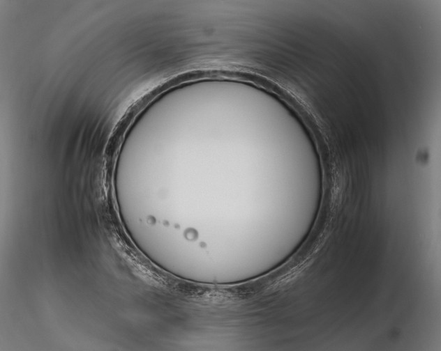 X0000116330974200912151301