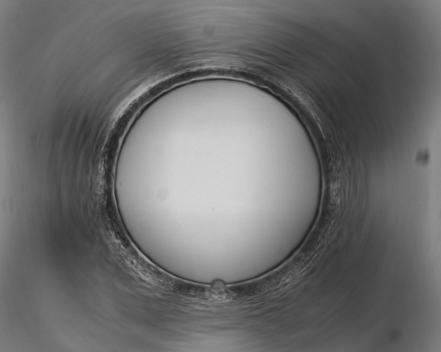 X0000116330975200912151301