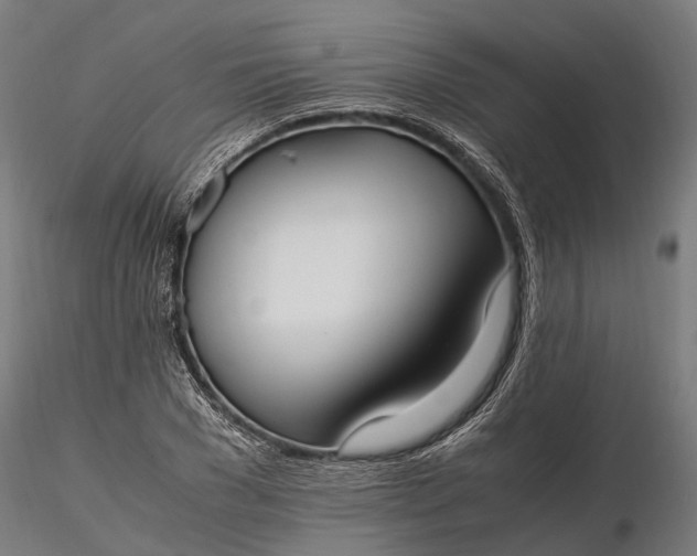 X0000116330977200912151301