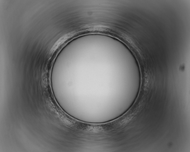 X0000116330978200912151301
