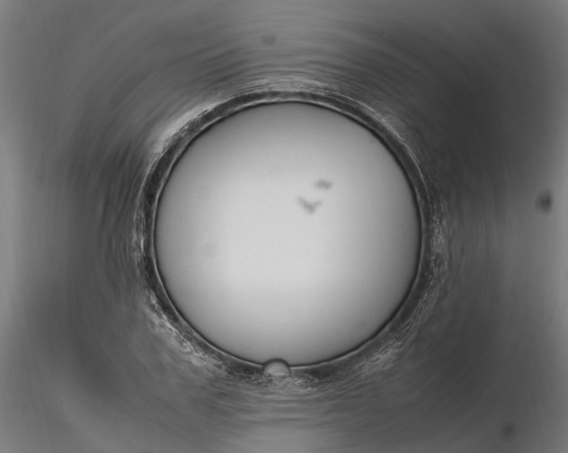 X0000116330979200912151301