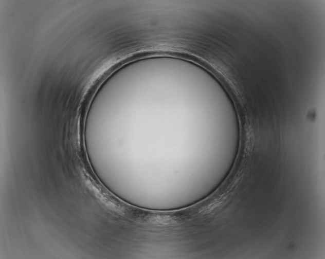 X0000116330982200912151301