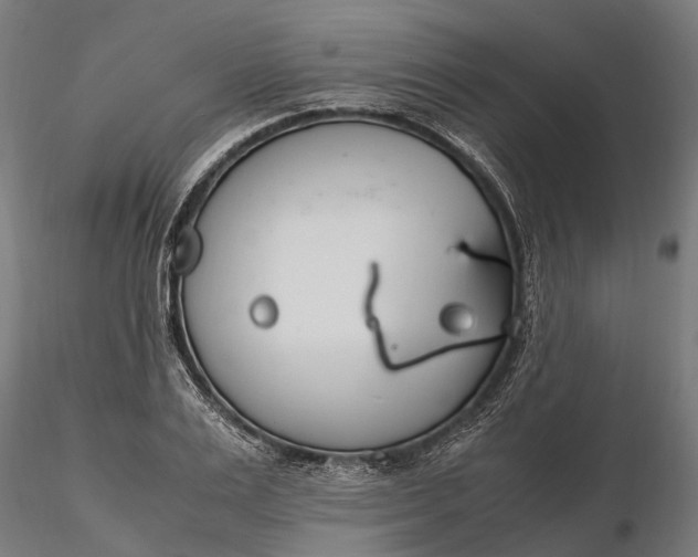 X0000116330983200912151301