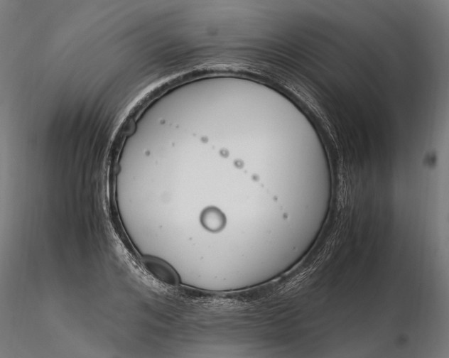 X0000116330984200912151301