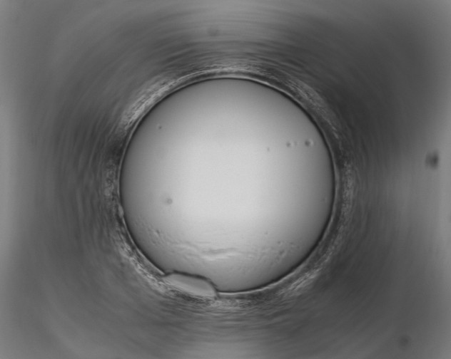 X0000116330985200912151301