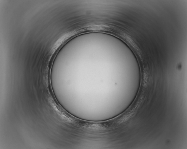 X0000116330986200912151301