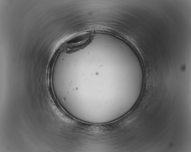 X0000116330987200912151301