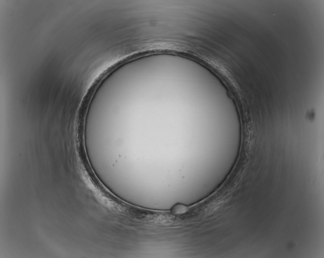 X0000116330991200912151301