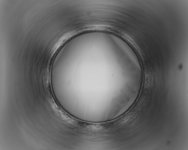 X0000116330994200912151301
