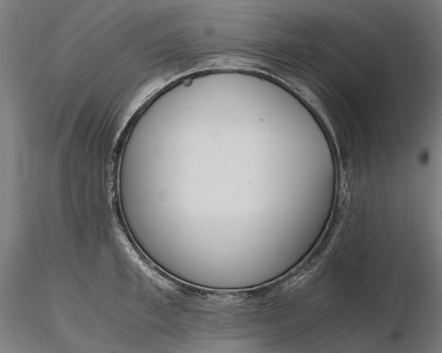 X0000116330997200912151301
