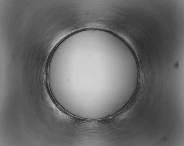 X0000116330999200912151301