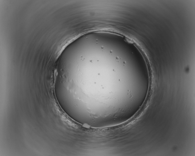 X0000116331001200912151301