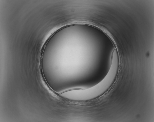 X0000116331005200912151301