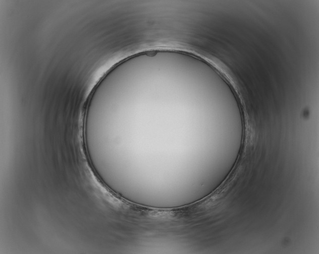 X0000116331006200912151301