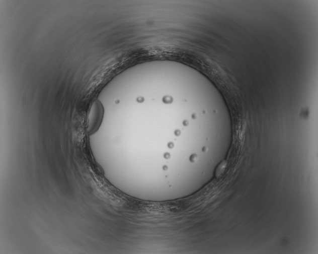 X0000116331012200912151300