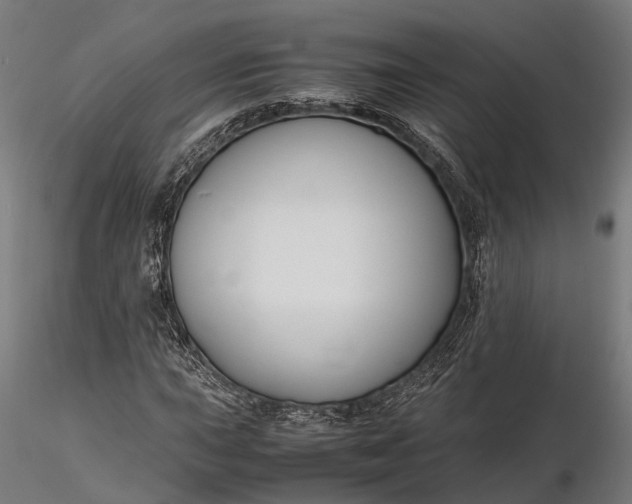 X0000116331015200912151300