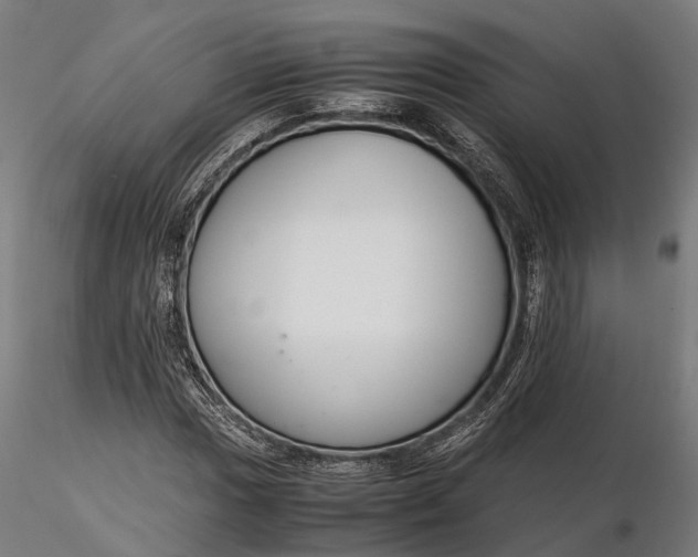 X0000116331017200912151300