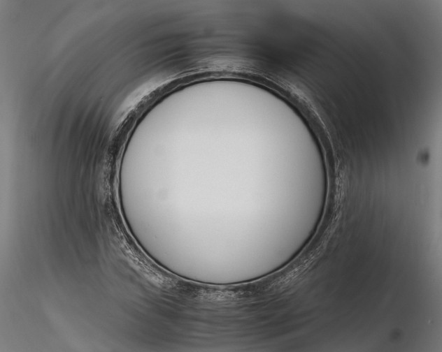X0000116331019200912151300