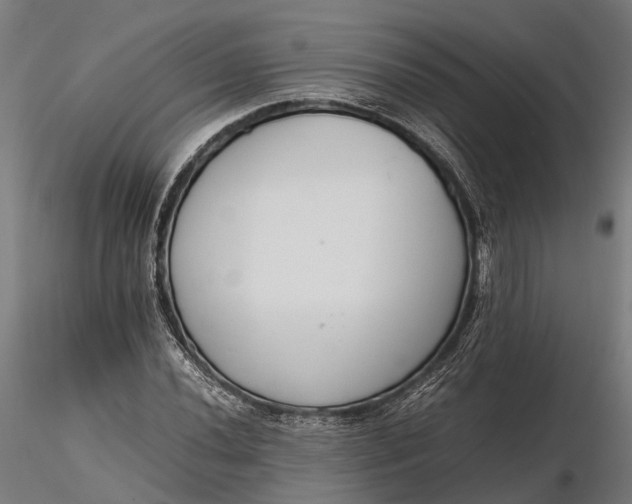 X0000116331020200912151301