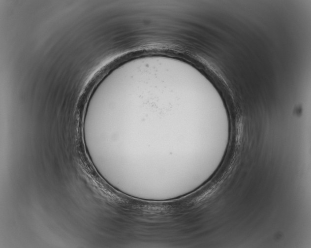 X0000116331021200912151301