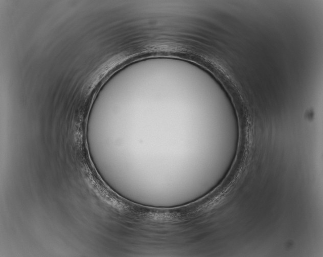X0000116331025200912151301