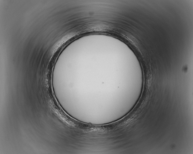 X0000116331026200912151301