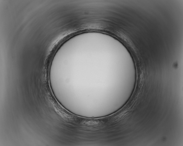 X0000116331027200912151301