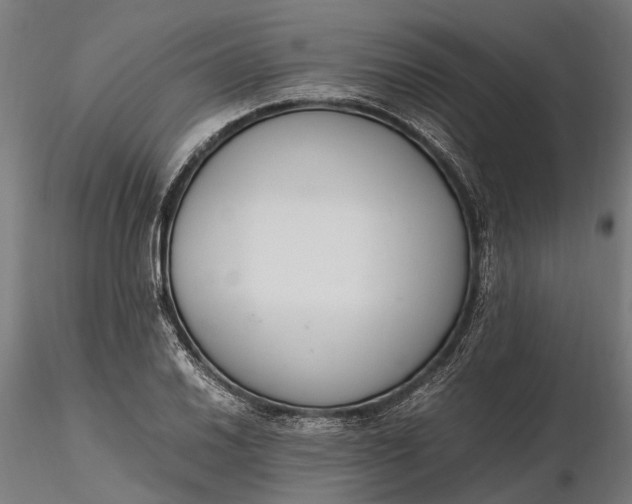 X0000116331030200912151301